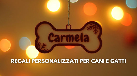 Idee Regalo di Natale: Ciotole e Palline Personalizzate per Cani e Gatti - FOURZAMPE