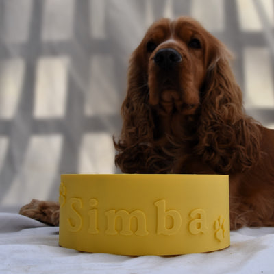 Ciotola Gialla personalizzata con Nome