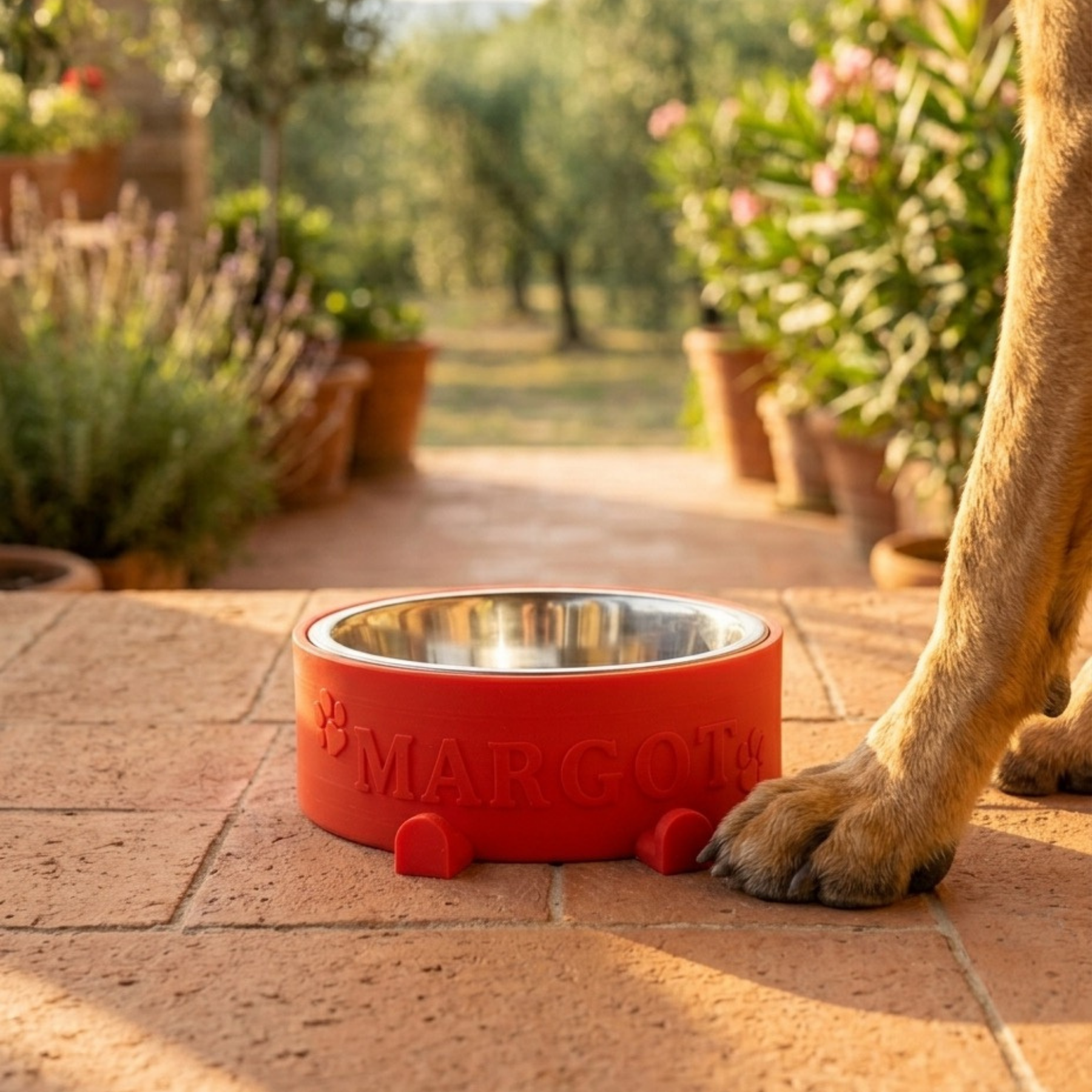 Ciotola Personalizzata con Nome per cani Rosso Fourzampe