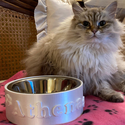 Ciotola per gatti con nome Fourzampec