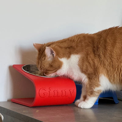 Ciotola personalizzata con nome per gatti inclinata e rialzata Rossa Fourzampe