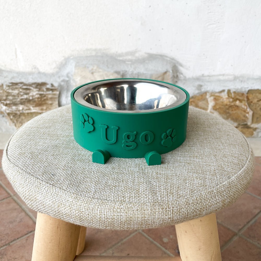 Ciotola personalizzata per cani verde — Fourzampe