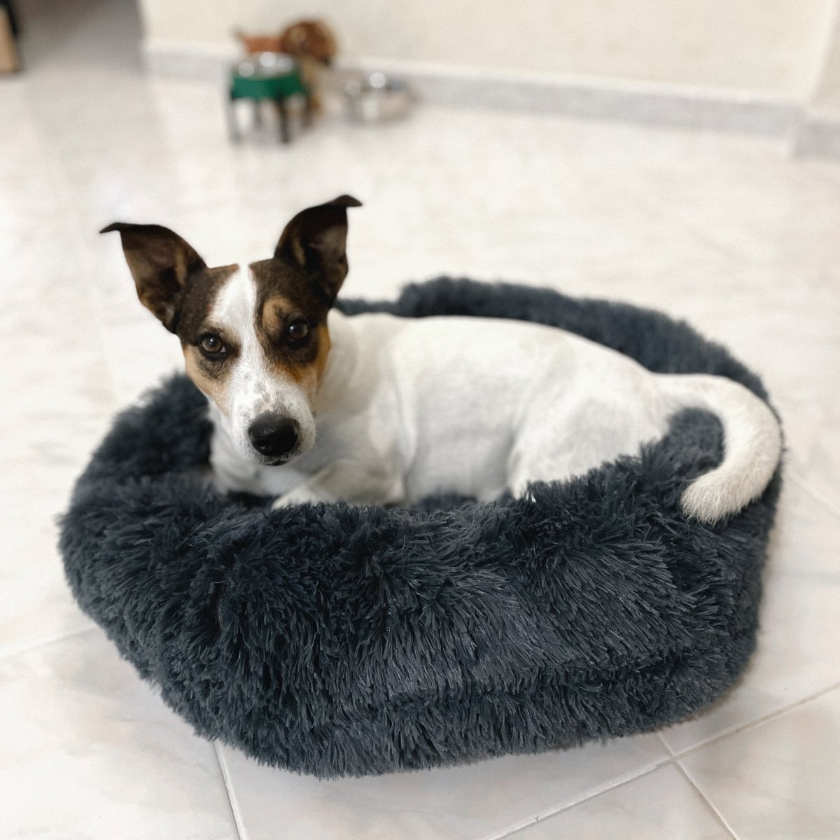 Cuscino Letto Antistress per Cani e Gatti - Ø 60 cm - FOURZAMPE