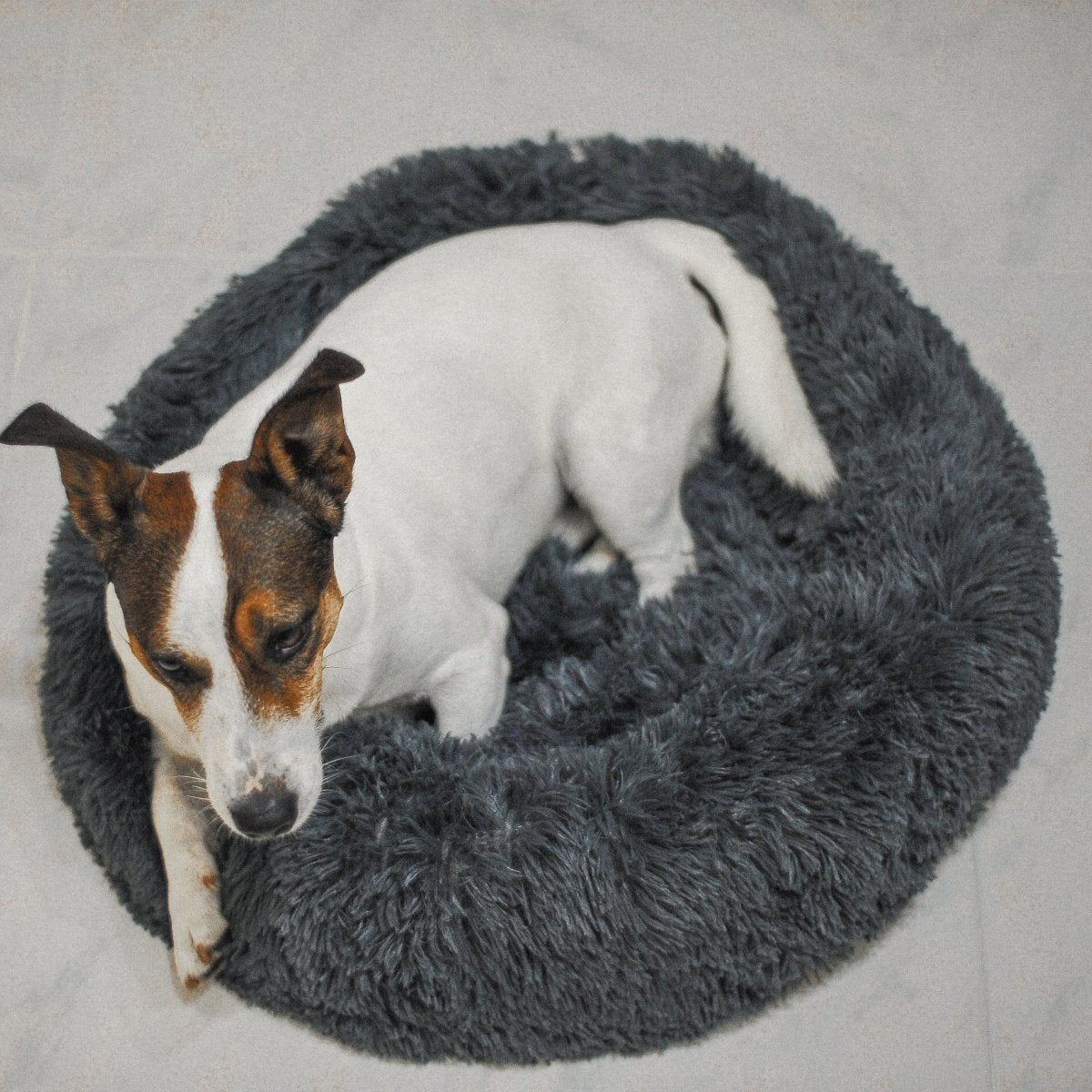 Cuscino Letto Antistress per Cani e Gatti - Ø 60 cm - FOURZAMPE